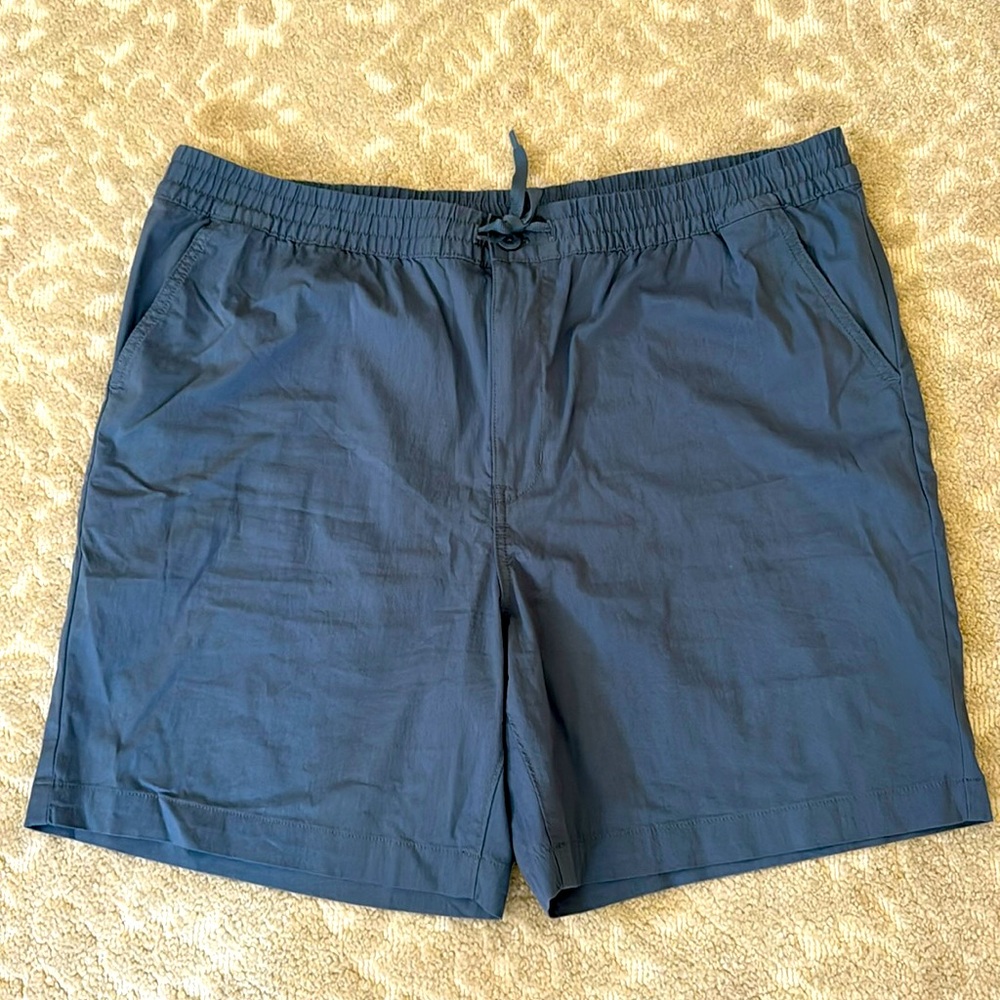 Patagonia Men's Shorts
